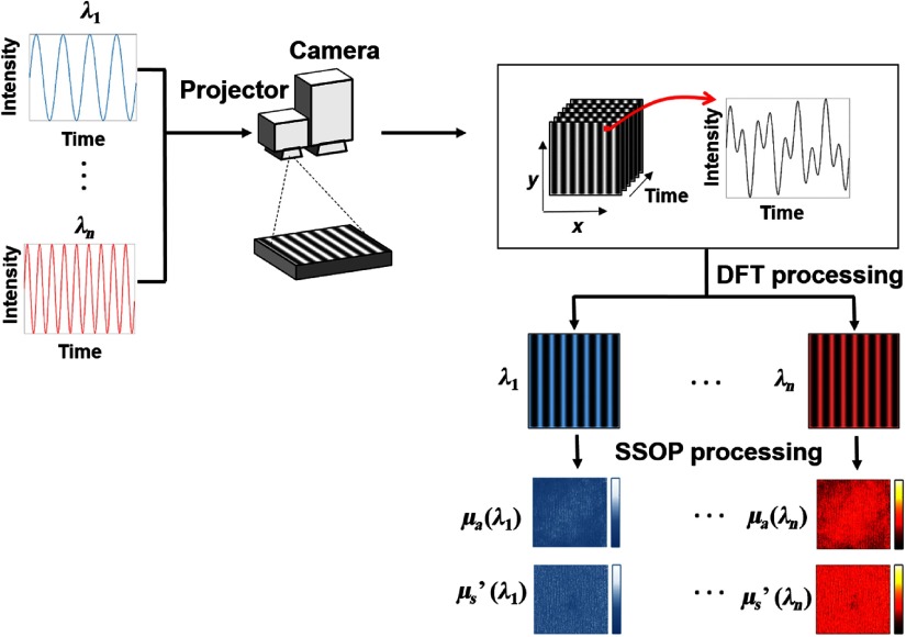 Fig. 1