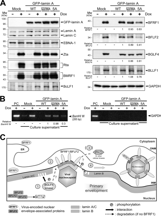 FIG. 6.