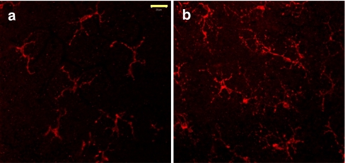 Fig. 2