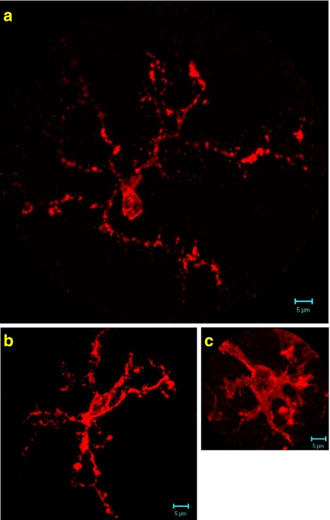 Fig. 4