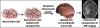 Fig. (3)