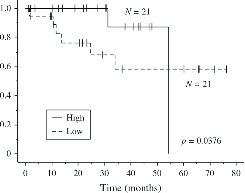 Fig. 3