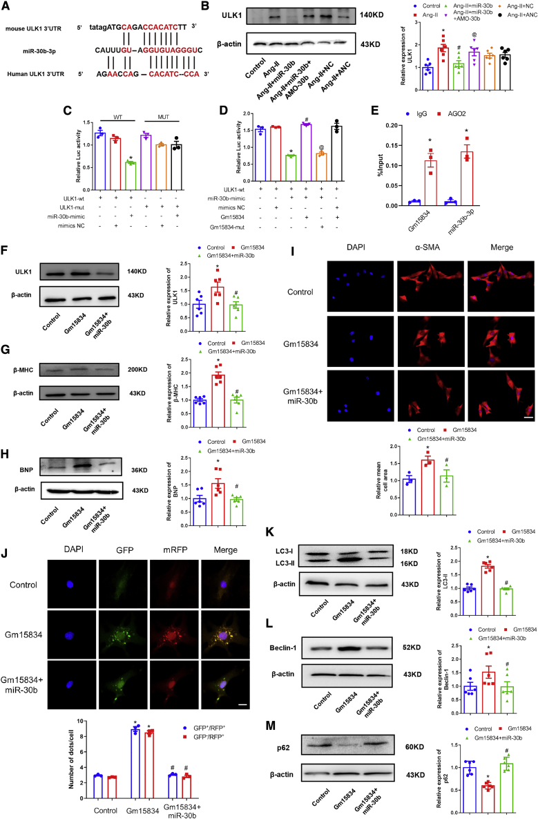 Figure 6