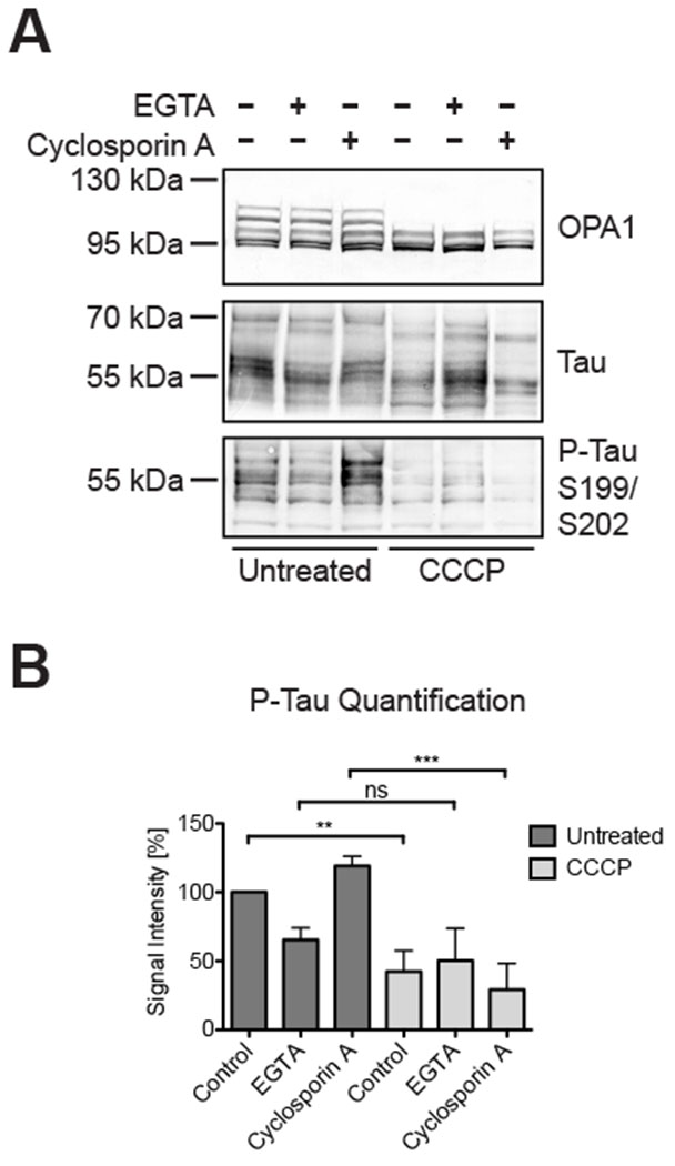 Figure 3: