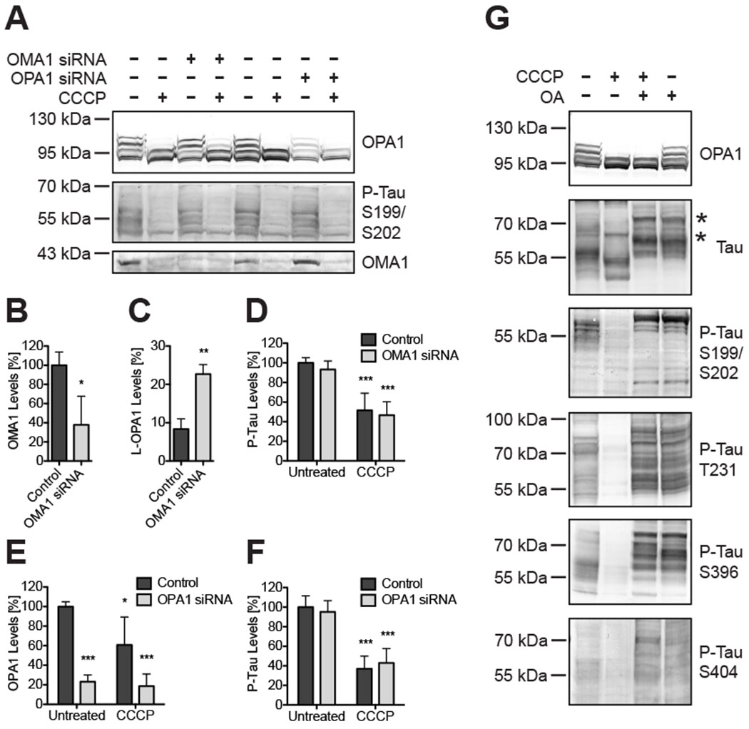 Figure 6: