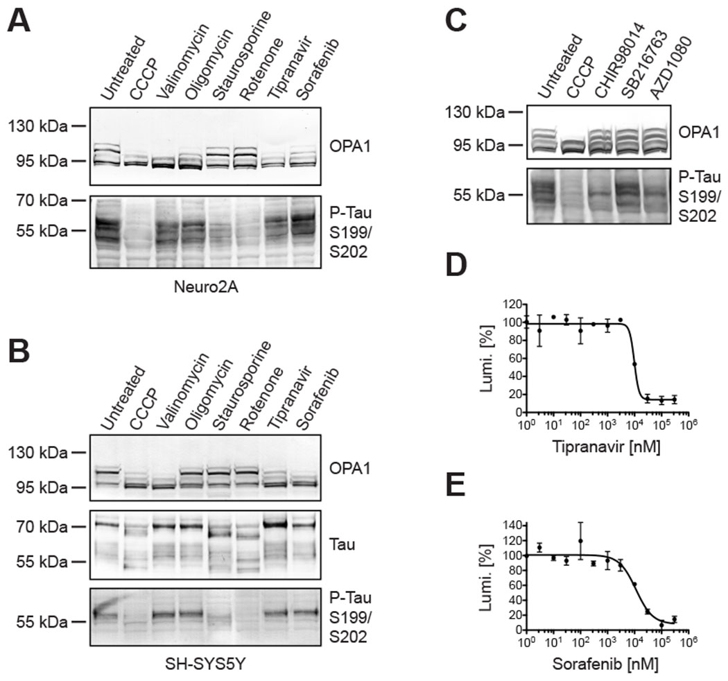 Figure 4: