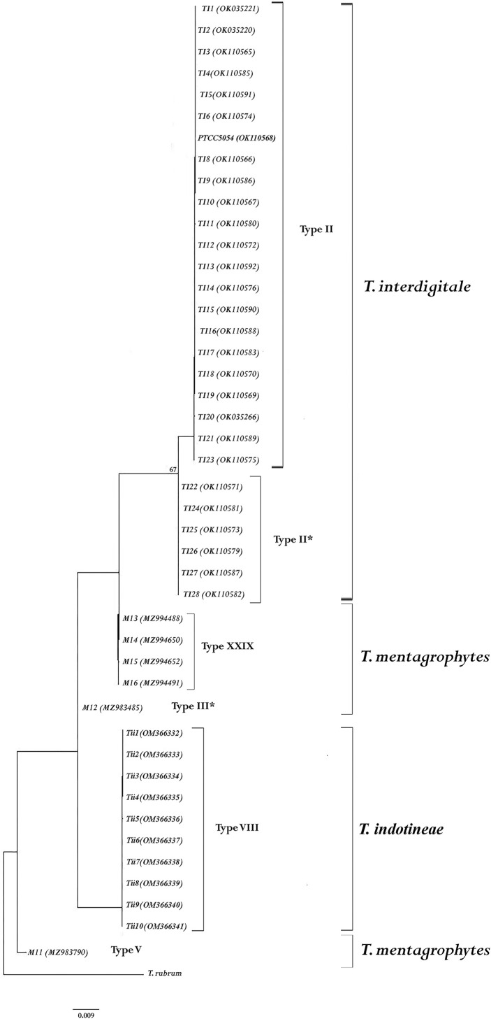 Figure 1