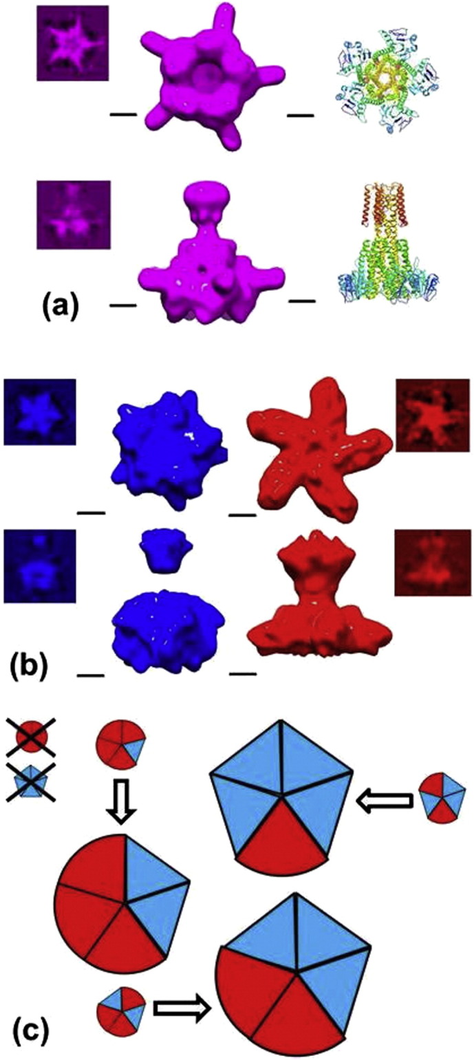 Fig. 4