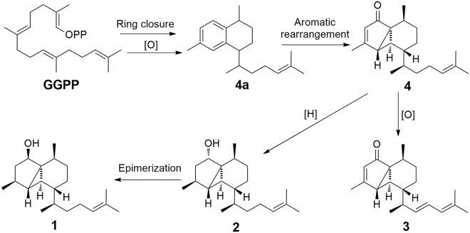 Figure 5