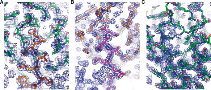 Figure 6.