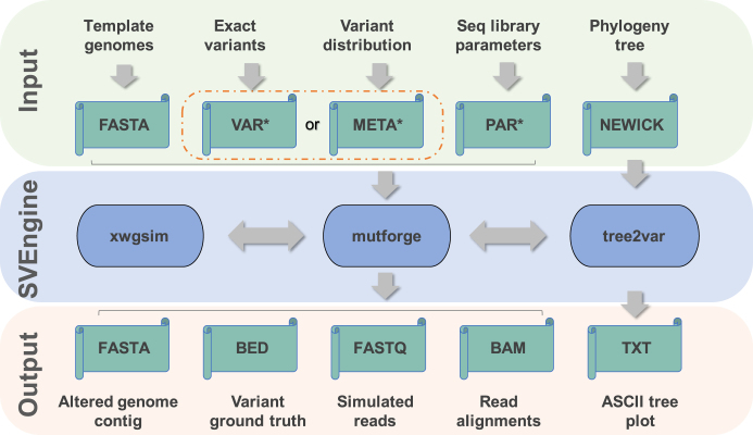 Figure 1: