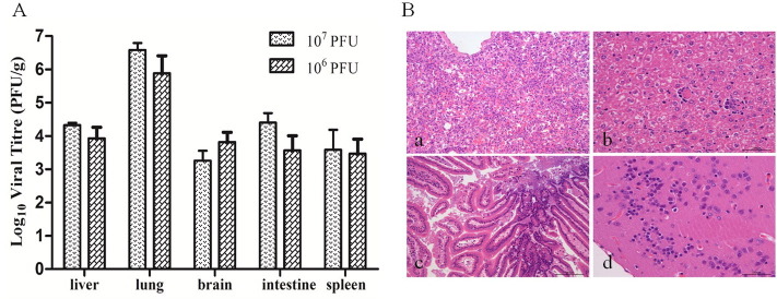 Fig. 4