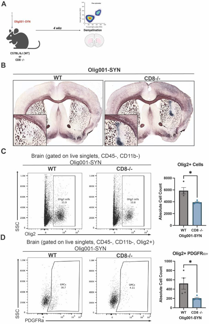 Figure 3: