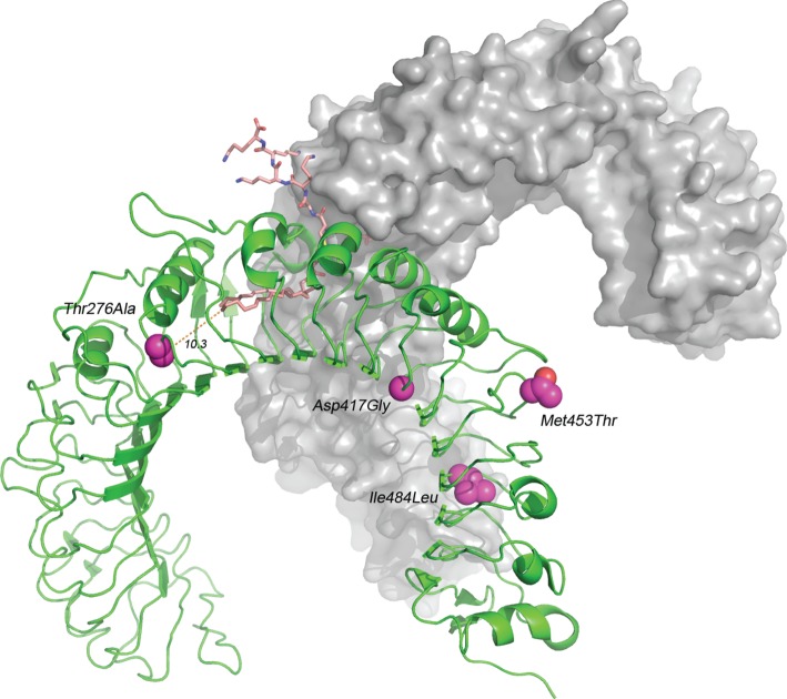 Figure 2.