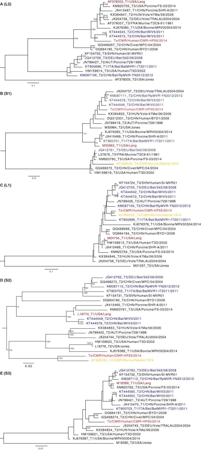 FIG 2