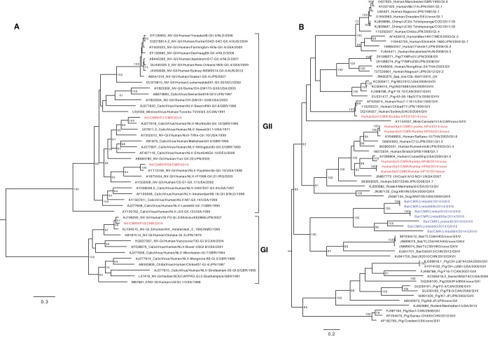 FIG 6