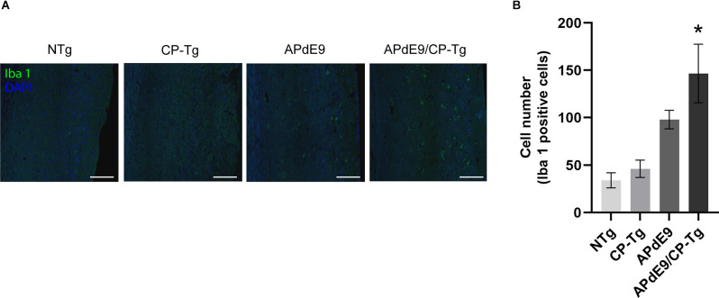 Figure 10