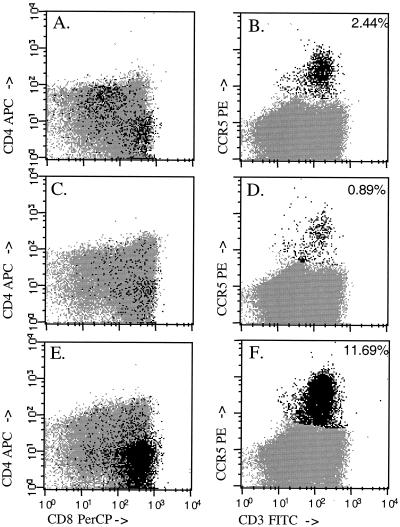 FIG. 7.