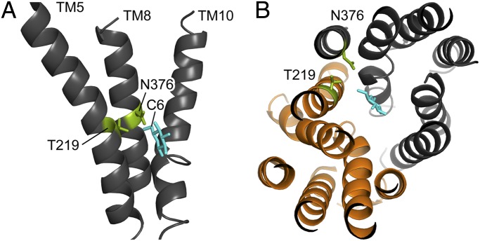 Fig. 3.