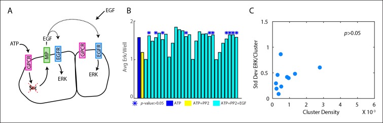 Figure 1—figure supplement 4.