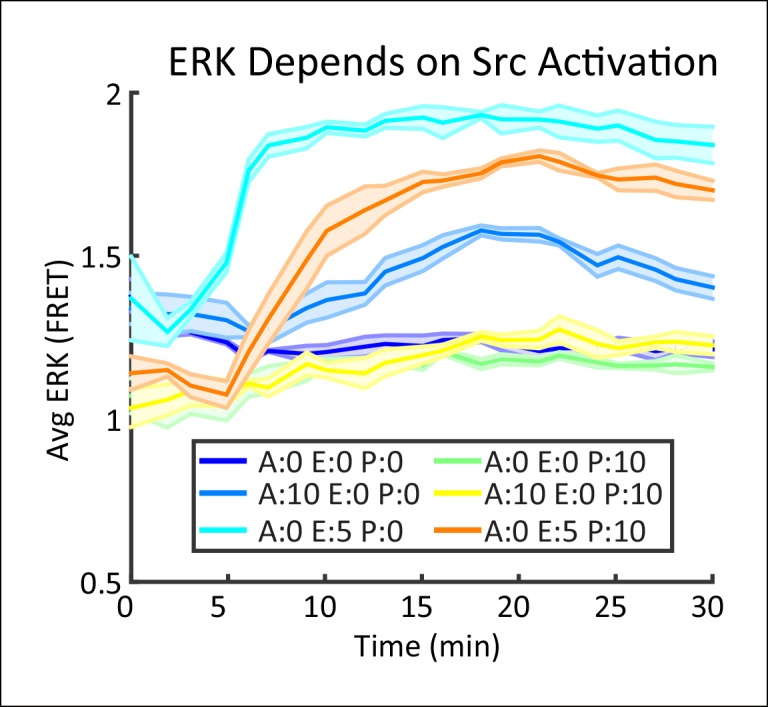 Figure 1—figure supplement 3.