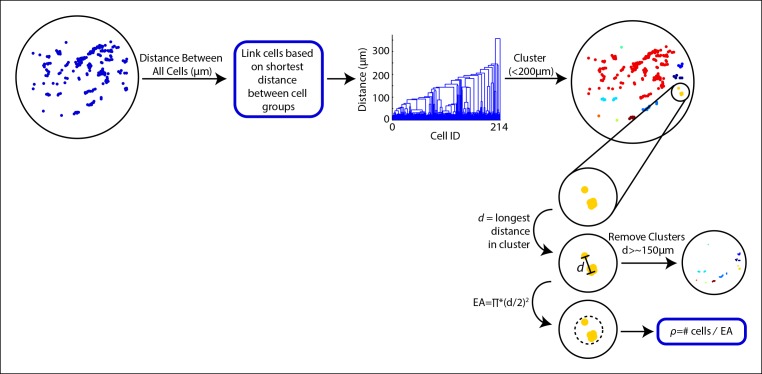 Figure 1—figure supplement 1.