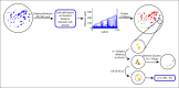 Figure 1—figure supplement 1.