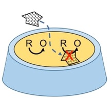 graphic file with name CELC-7-69-g004.jpg