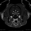 Fig 1.