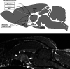 Fig 4.