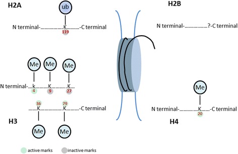 Fig. 2