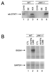 FIG. 5