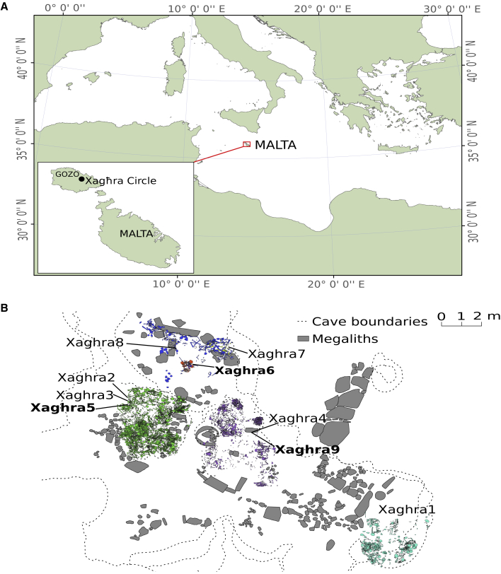 Figure 1