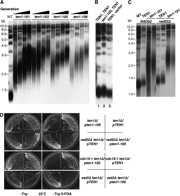 Figure 2.—