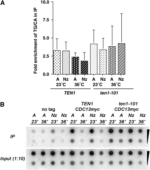 Figure 3.—