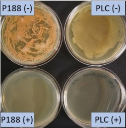 graphic file with name Beilstein_J_Nanotechnol-10-1902-i026.jpg