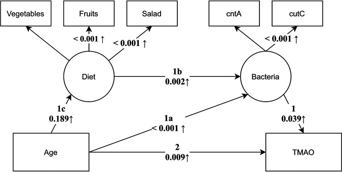 FIG 2