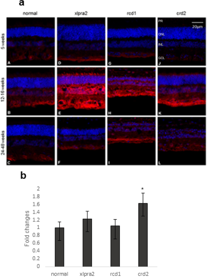 Figure 6.