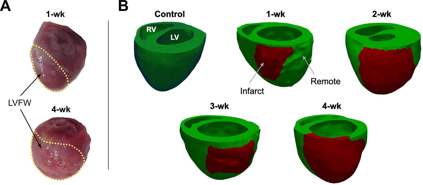 FIGURE 2.