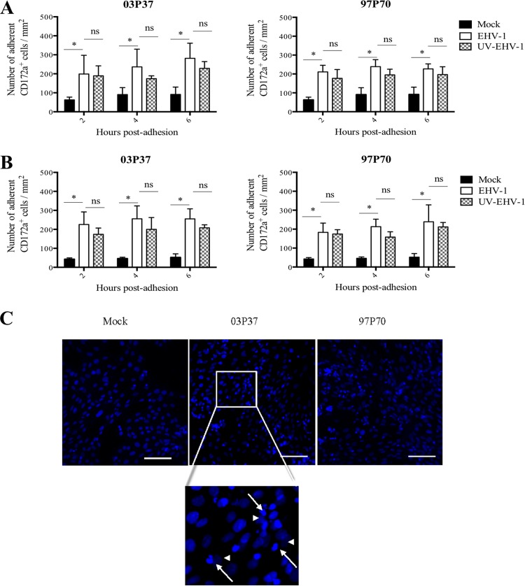 FIG 1