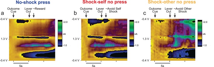 Figure 7—figure supplement 1.