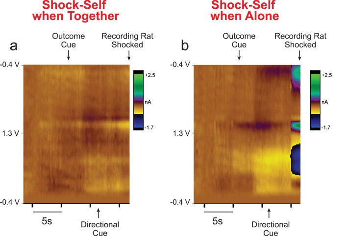 Figure 4—figure supplement 2.