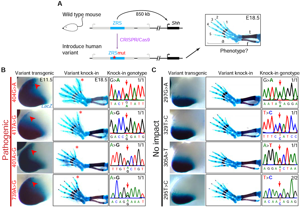 Figure 3: