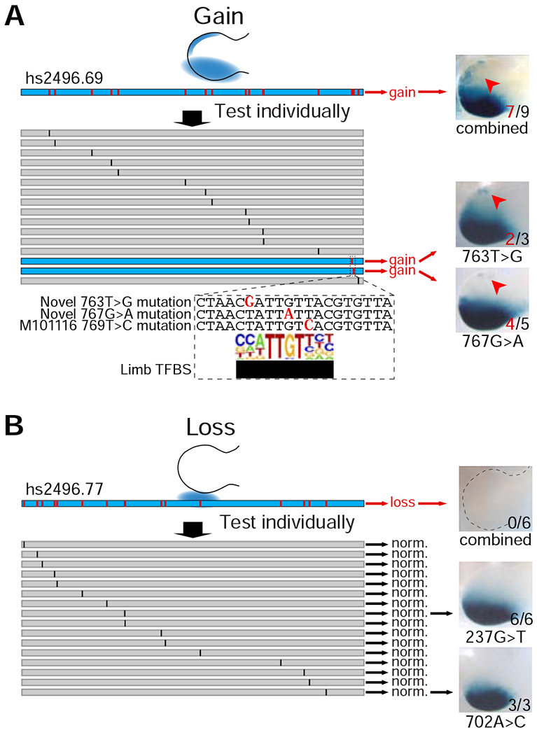 Figure 5: