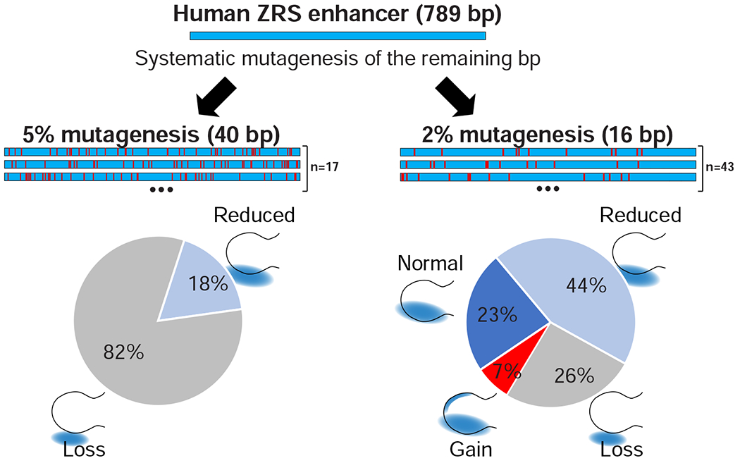 Figure 4: