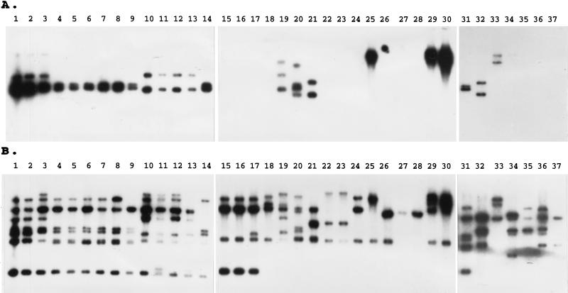 FIG. 7