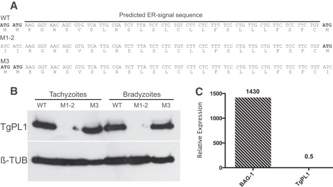 FIG 3