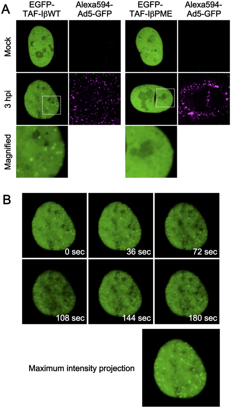 Fig 4