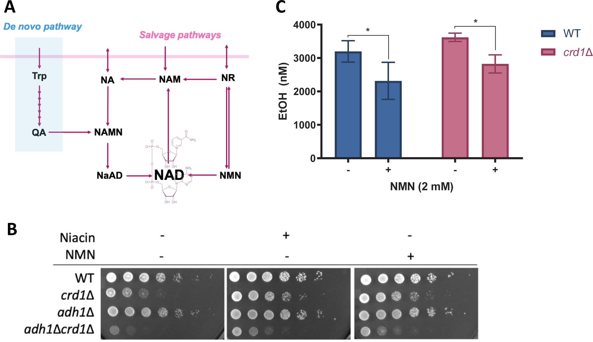 Figure 3.