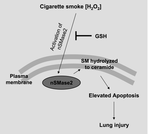 Fig. 9.